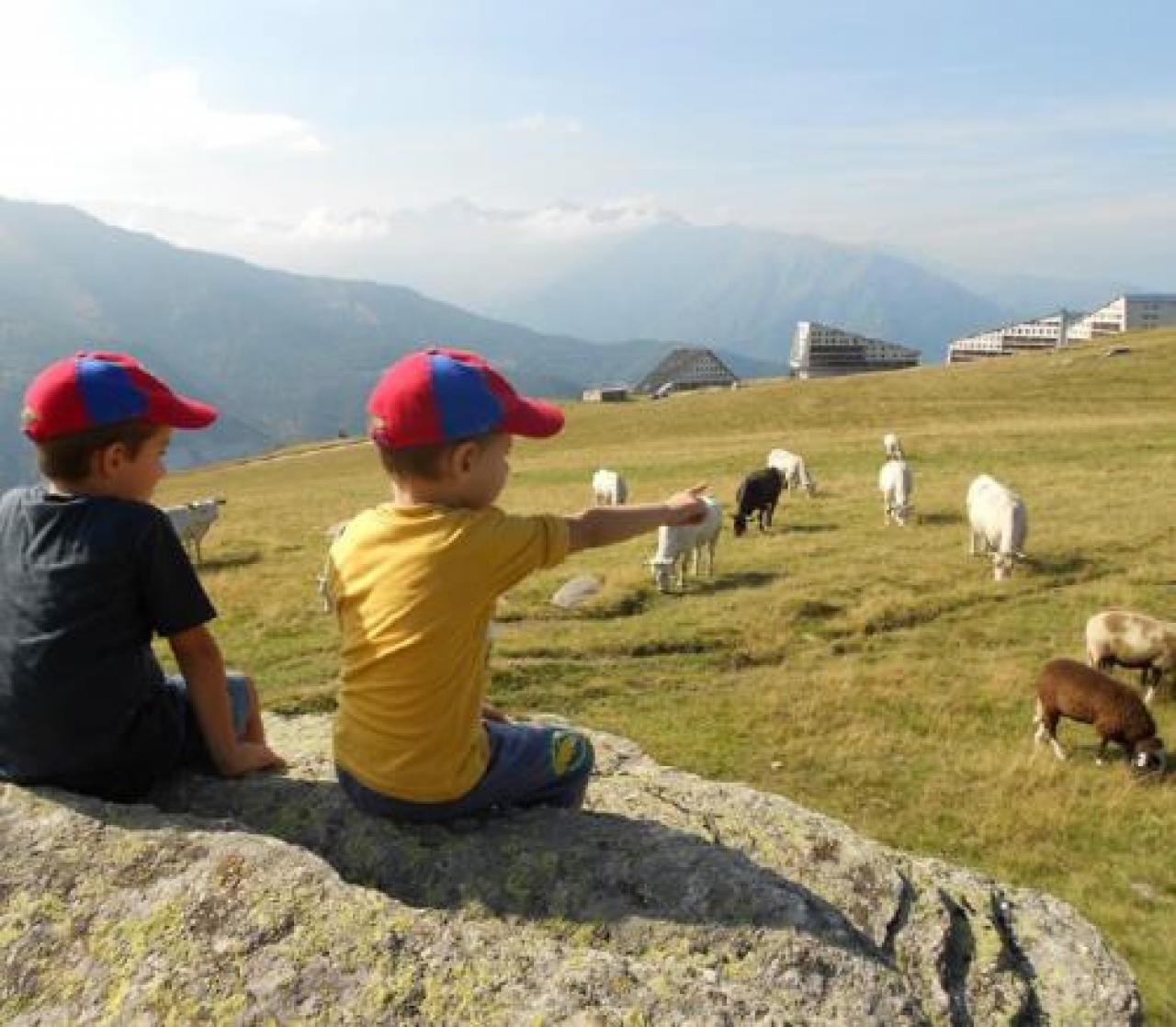 Montoso aspetta i turisti d’agosto Il passatempo? Andar per funghi un’estate speciale: senzi eventi, vince la natura