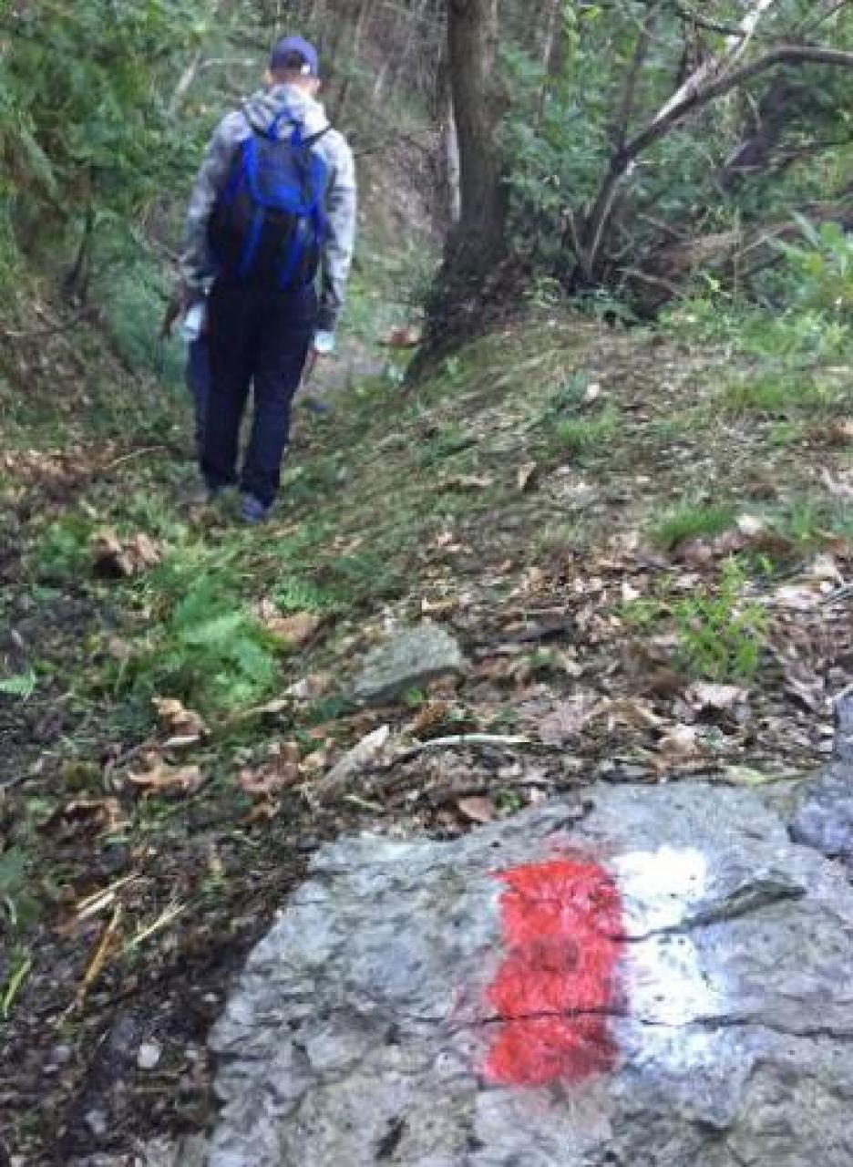 Ripulito e Tracciato il sentiero che collega il pilone botta a castellar
