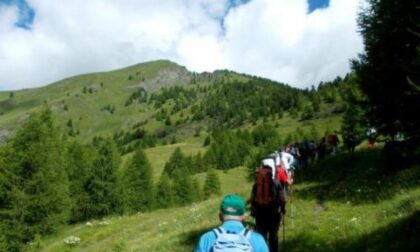 San michele prazzo, una passeggiata piena di sorprese La via degli gnomi di legno