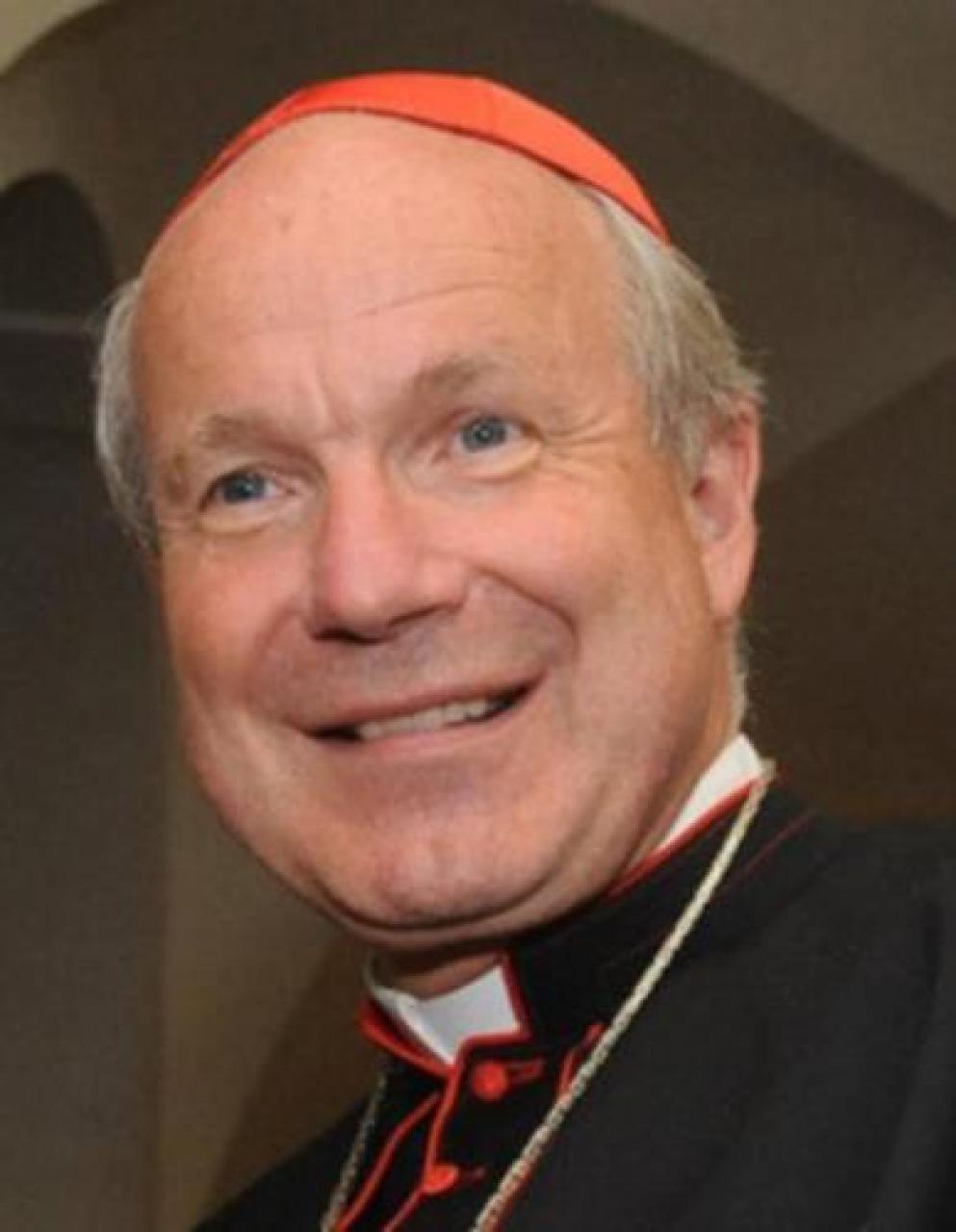 Testimonianze di fede e voci di speranza dalle zone di guerra. spazio alle parole Il ritorno alla Festa del vescovo di Vienna