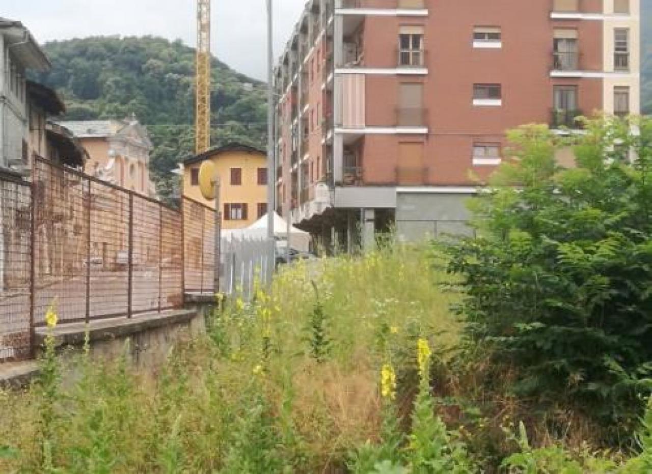 Un anno dopo la giungla è sempre lì