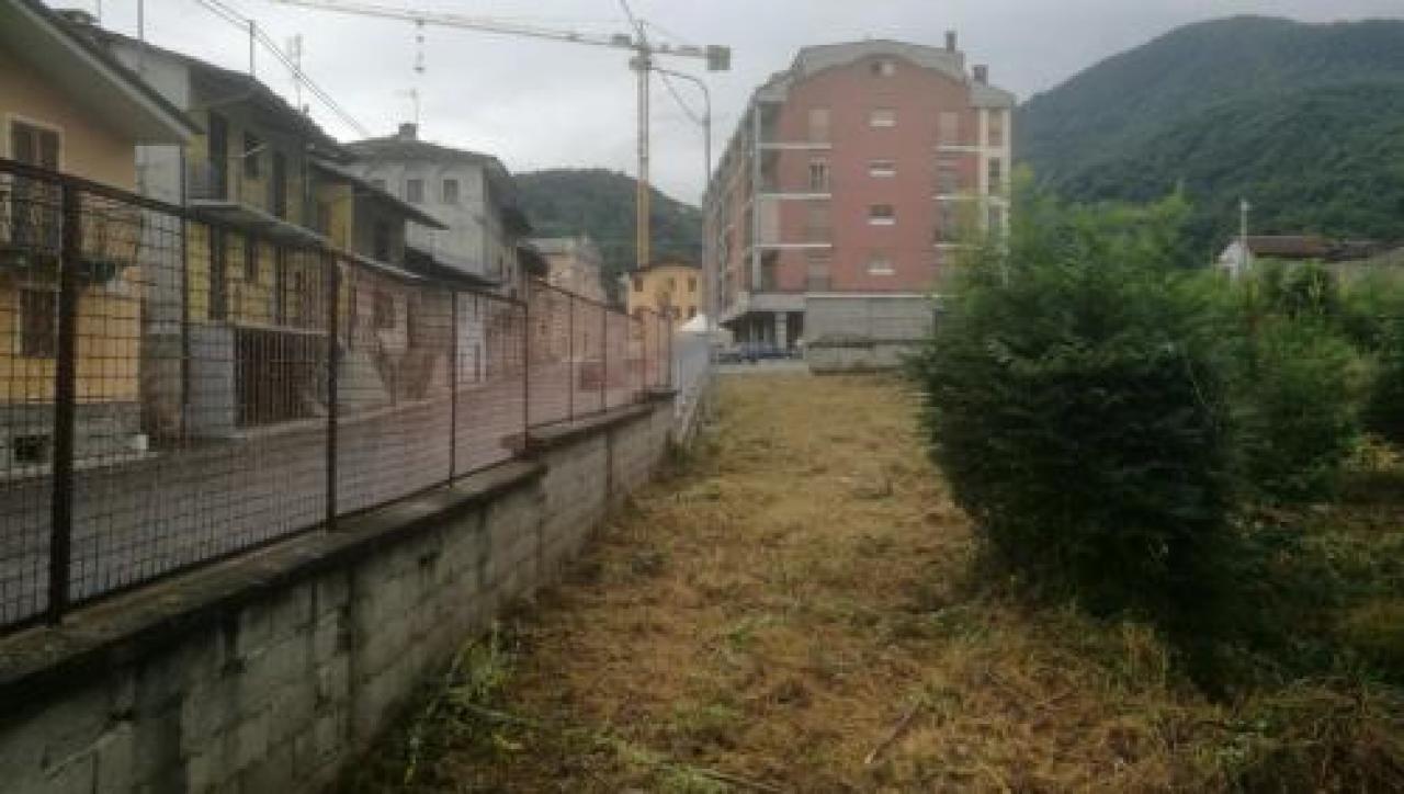 Una prima sfoltita alla giungla