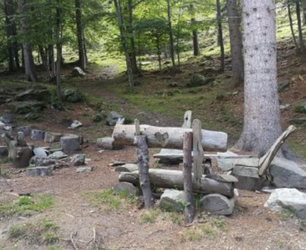 Weekend nelle valli Diventa corista per un giorno nel magico bosco della Trebulina
