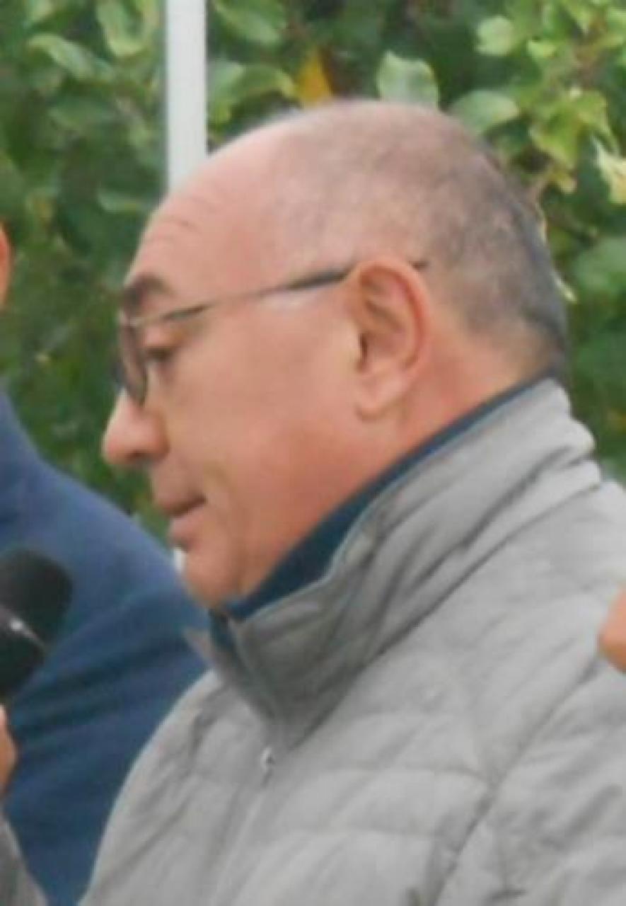 Dal Pane: impianti a regola d’arte con baulatura e irrigazione mirata L’imprenditore spiega come contenere la morìa