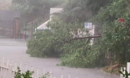 DANNI A MANTA E VERZUOLO: COINVOLTI ANCHE ATC (CASE POPOLARI) E FERROVIE. sos alla regione Una tromba d’aria paurosa Crolla il muro della Burgo