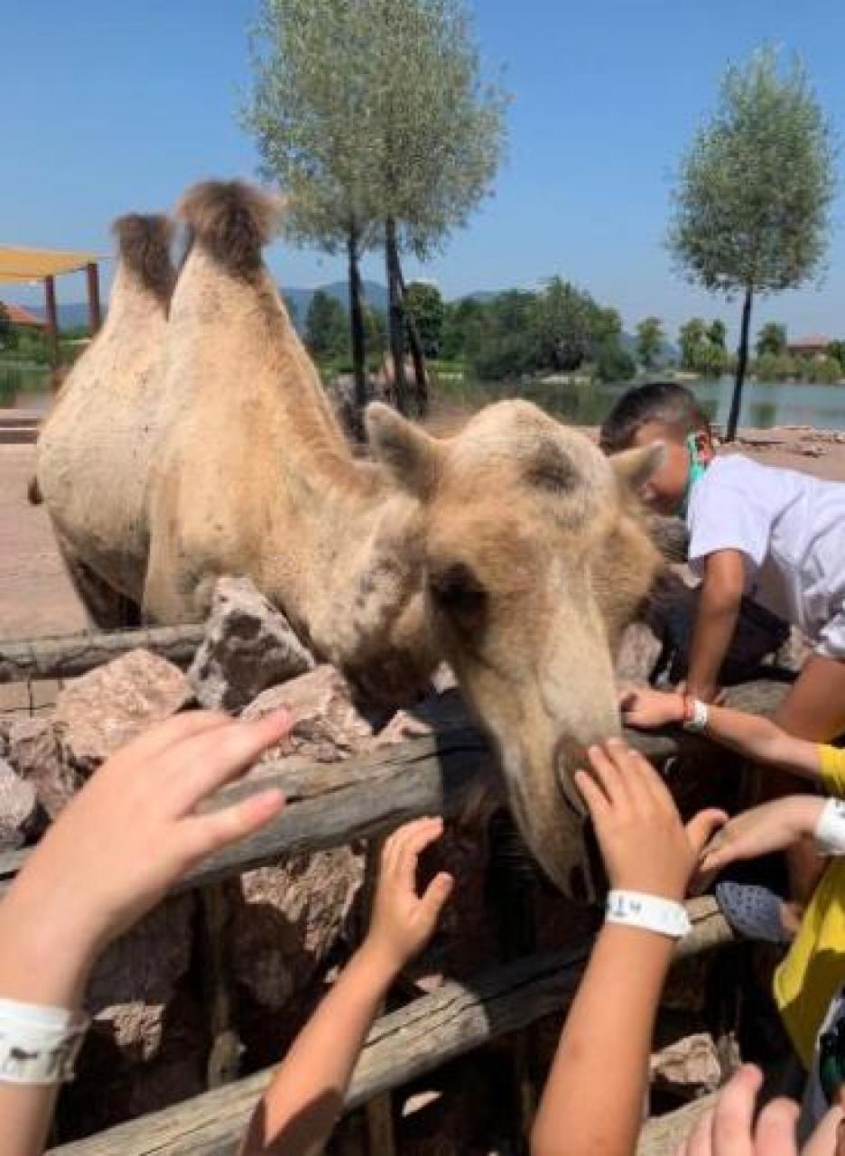 L’Estate bimbi a Zoom tra giochi e diplomi