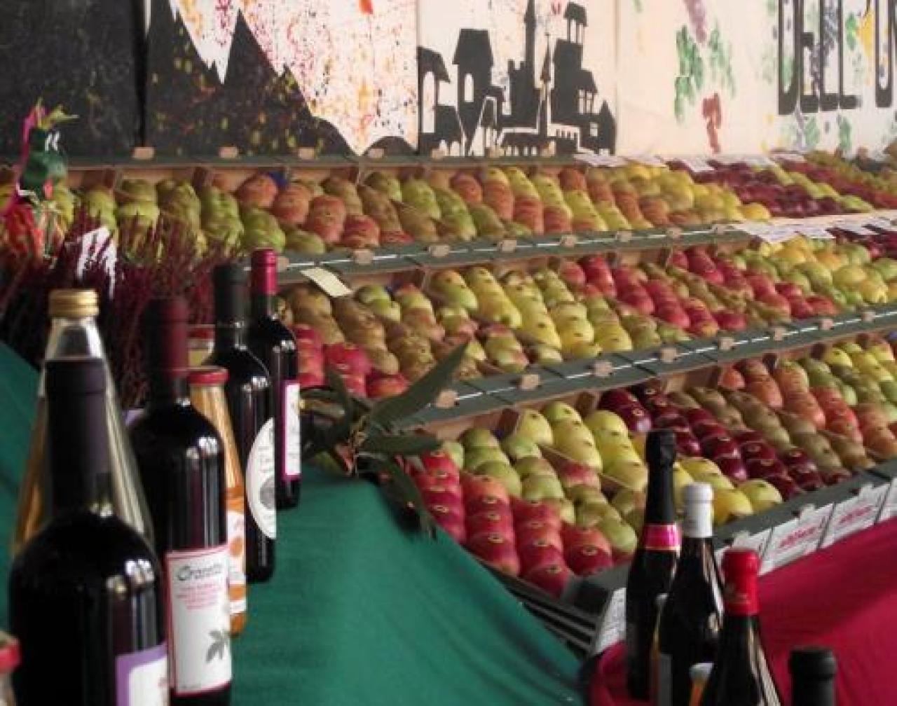 L’uva e “ogni sorta di frutti” sulla collina di Costigliole