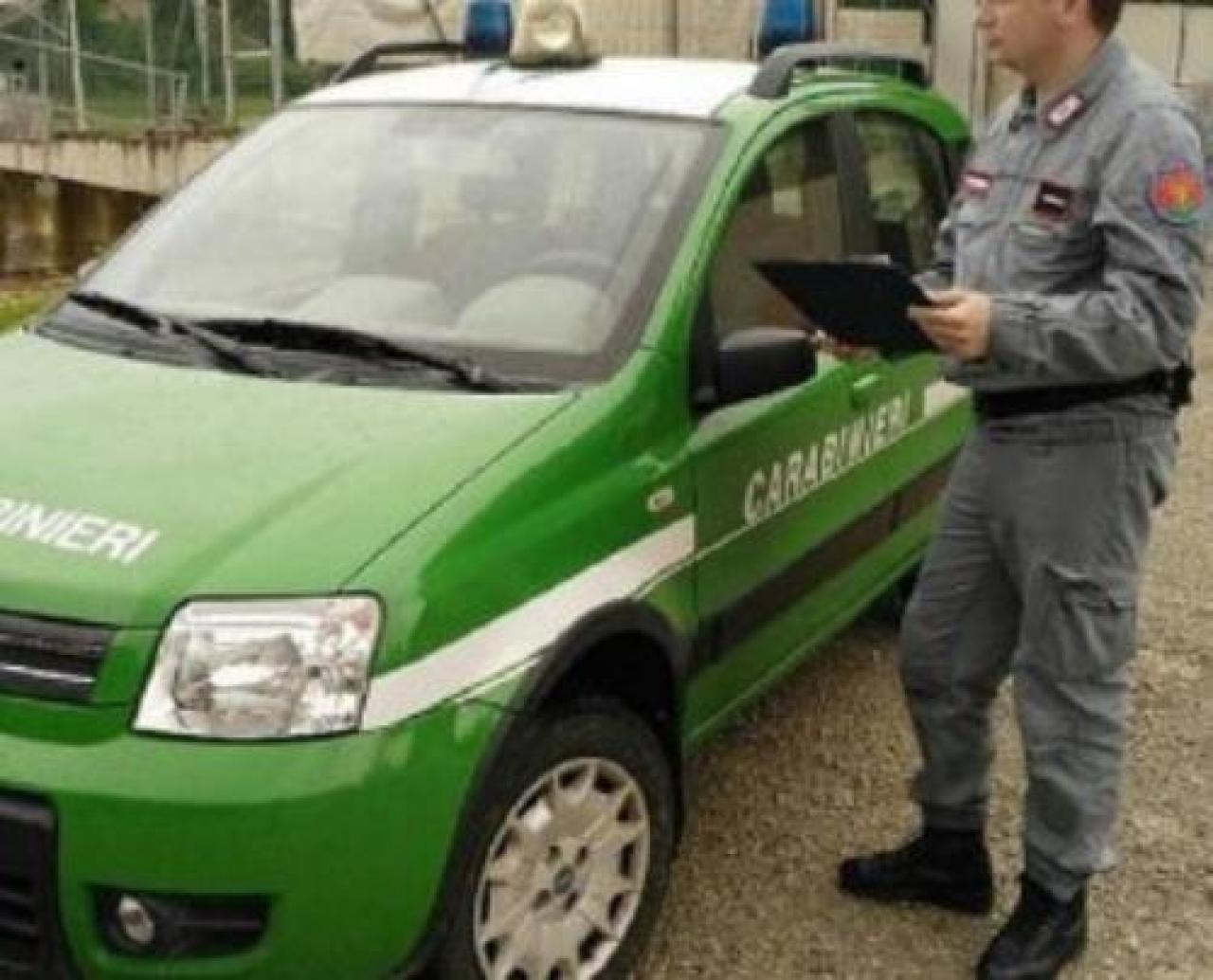Ostana, multato il gestore della centrale idroelettrica