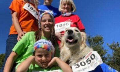 Camminata senza evento Ma sono 2600 i pettorali