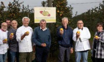 Delegazione di mirafiori a barge per l’ottobrata La mela grigia di Torriana ispira i pasticcieri di Torino