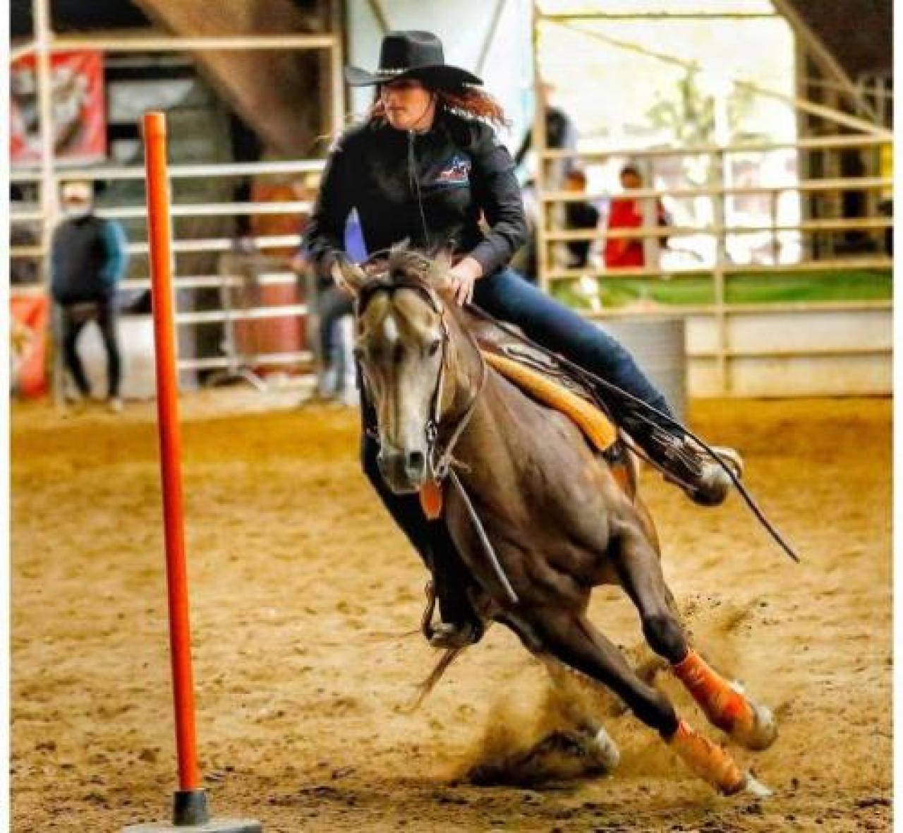 I cavalieri saluzzesi protagonisti nella Gimkana
