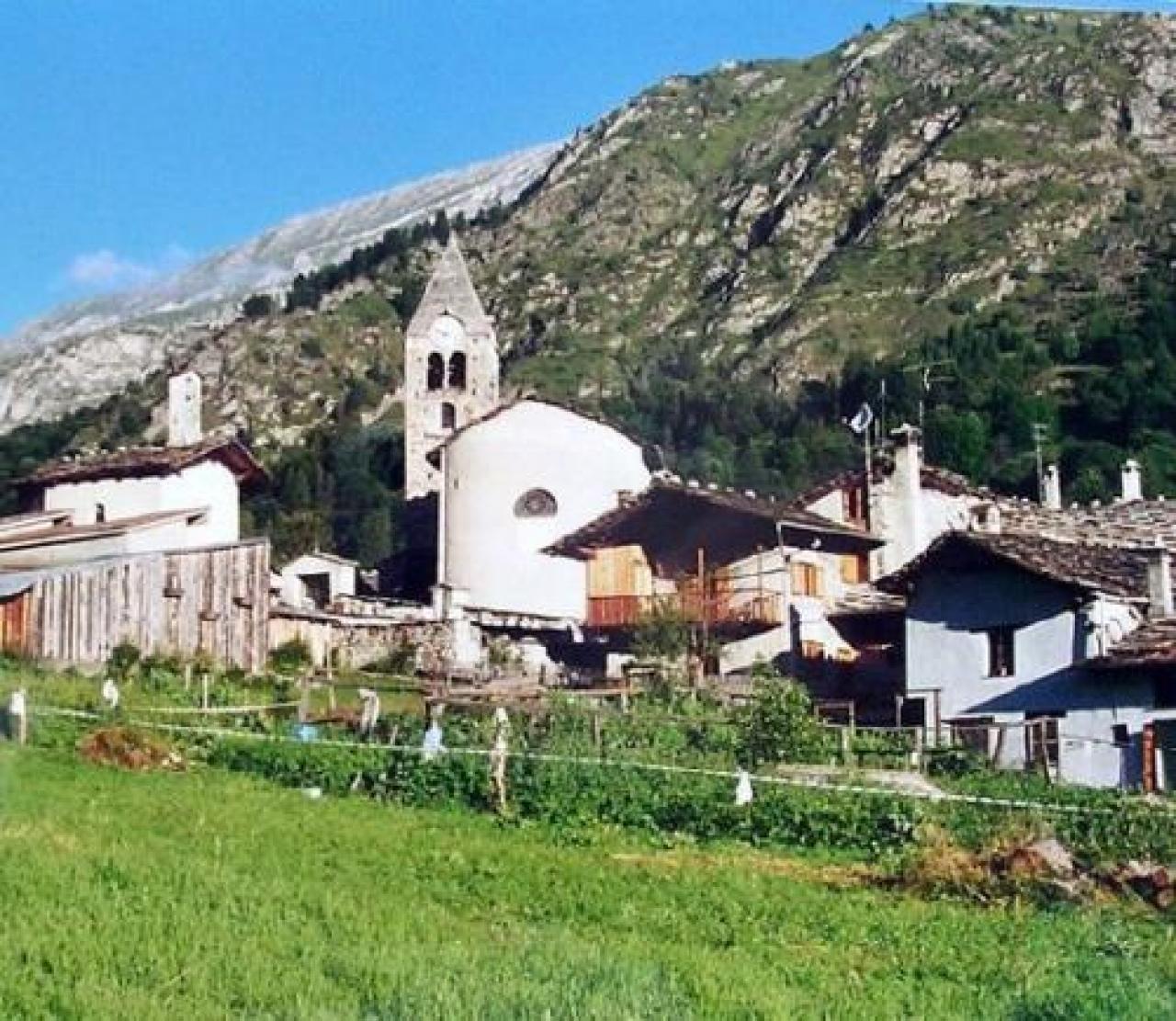 I futuri manager delle Terre Alte