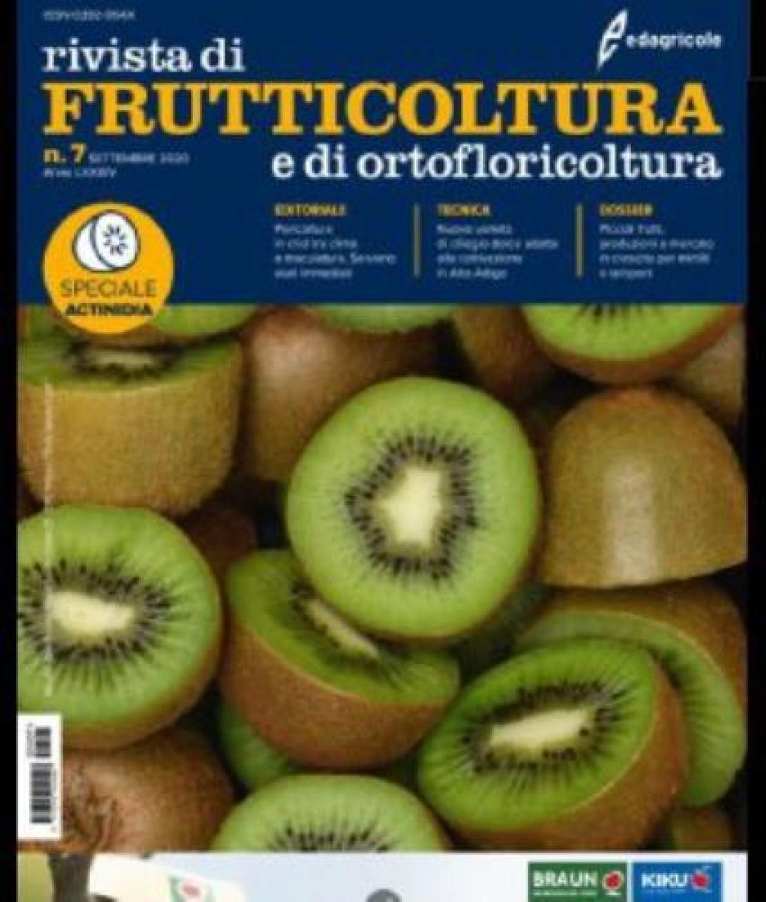 I luminari del kiwi citano Green Angel