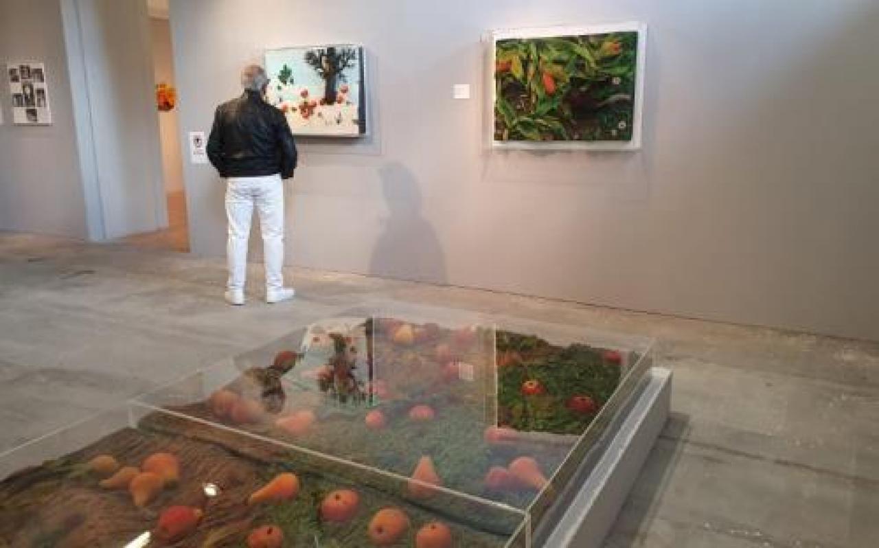 L’arte contemporanea protagonista di due mostre nelle location storiche della città I tappeti-natura di Gilardi alla Musso A Casa Cavassa il Premio Matteo Olivero