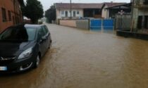 Settegiorni Alluvione, raccolta straordinaria del materiale danneggiato