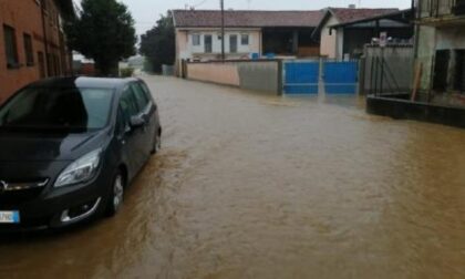 Settegiorni Alluvione, raccolta straordinaria del materiale danneggiato