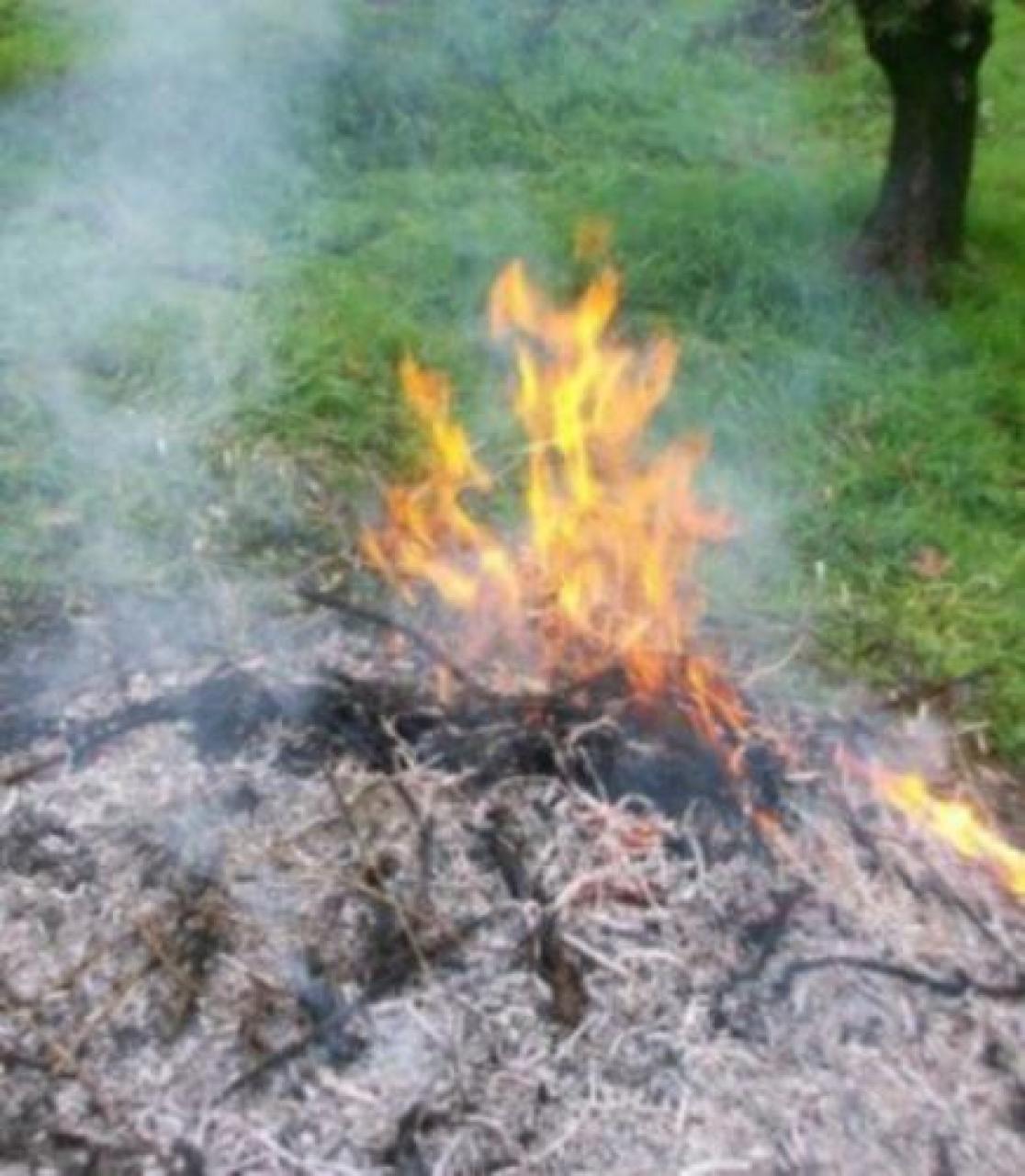 Busca, falò consentiti sino a fine novembre