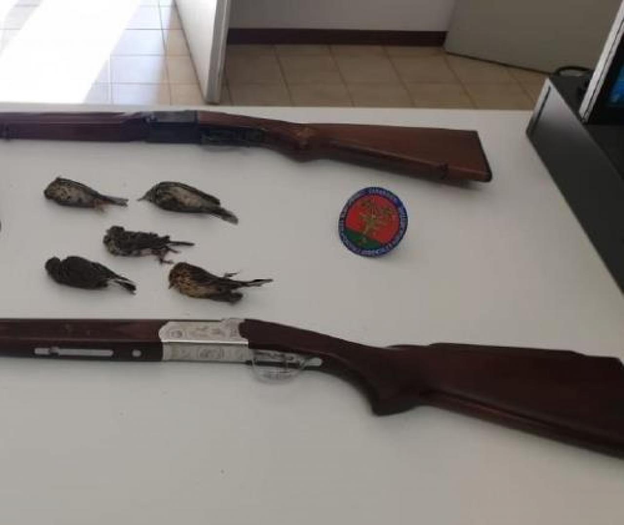 Cacciatore di frodo multato e denunciato dai carabinieri forestali