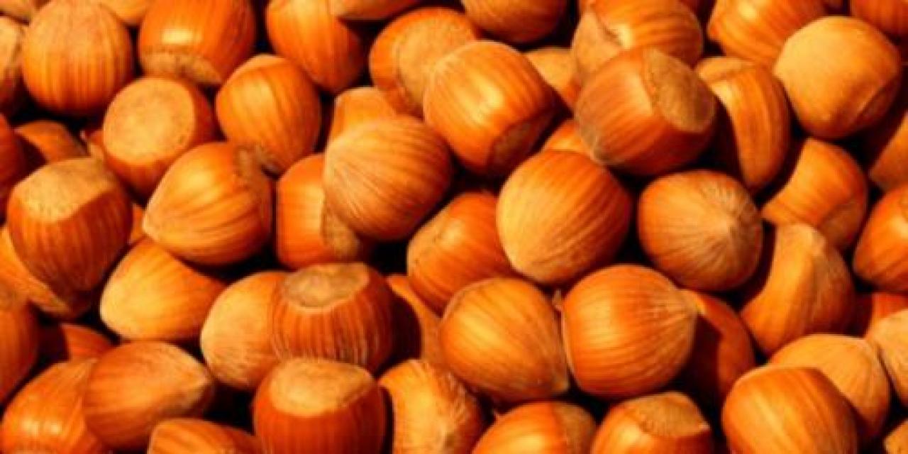 Non decolla il prezzo della nocciola Tonda