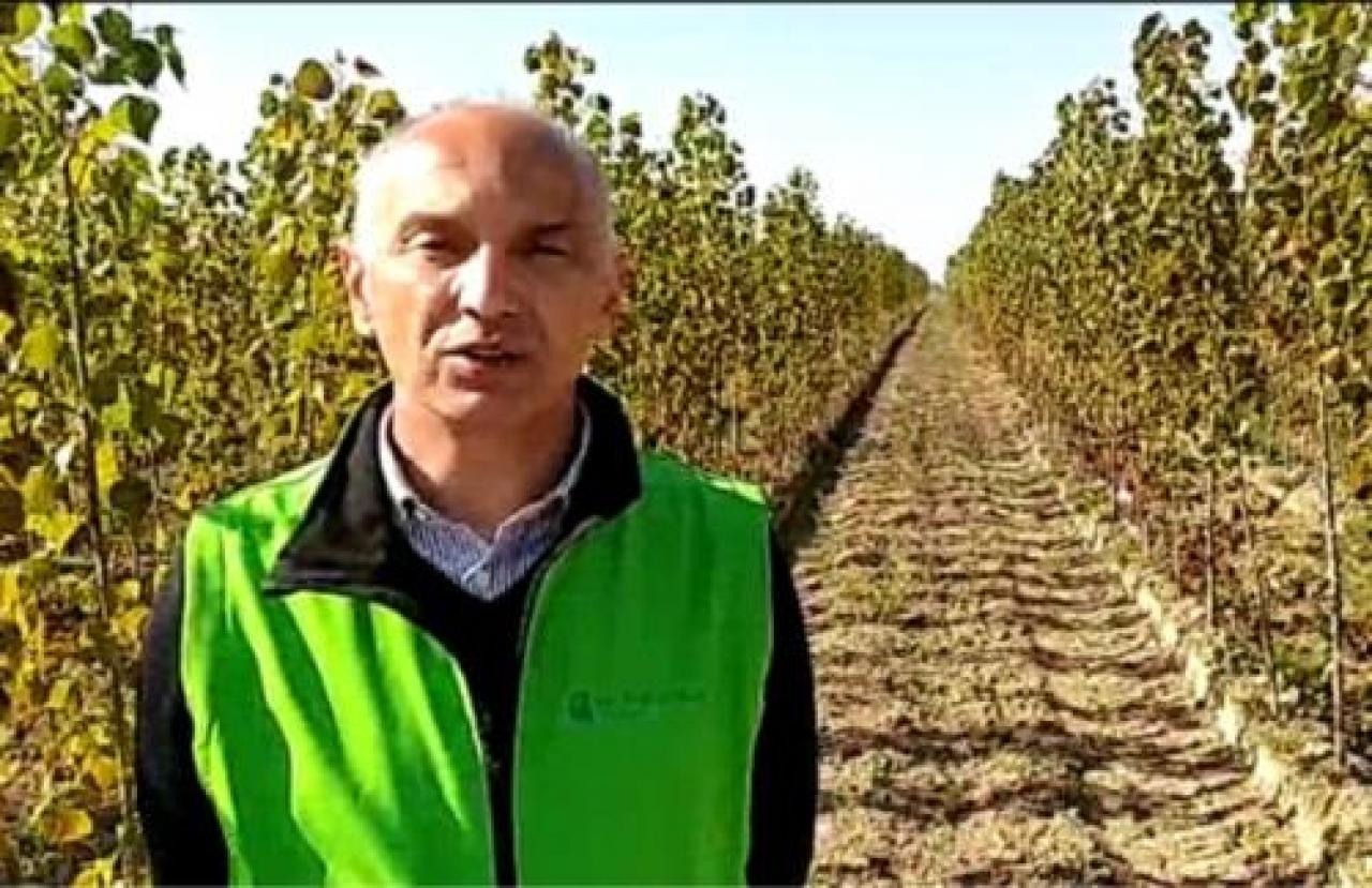 Psr, Confagricoltura sprona Cirio «Troppe criticità, bandi da rivedere» Zzzzz zzzzzz