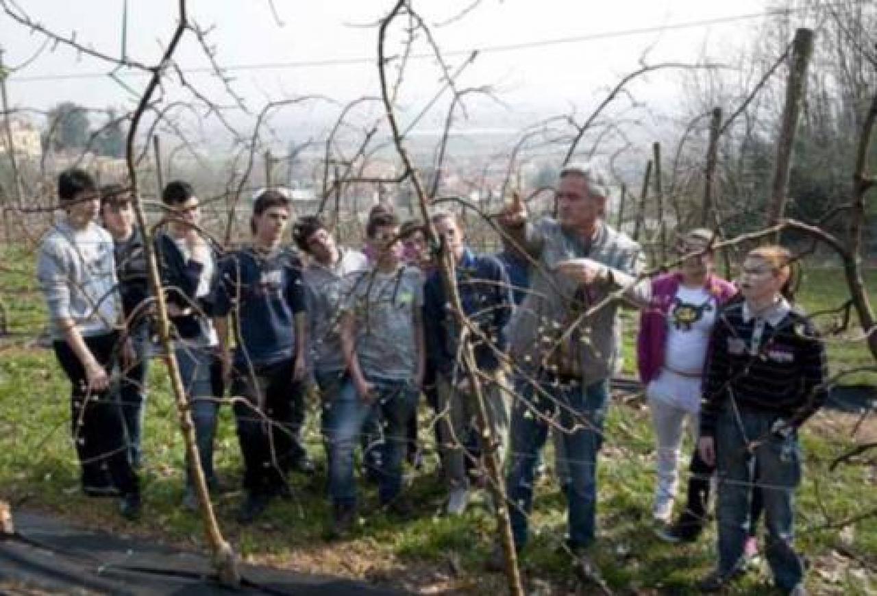 Qui nascono i tecnici della nuova agricoltura Produzione di alimenti e gestione del territorio