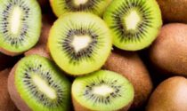 Rivoira: prezzi alti per il kiwi ma pesano tante incognite