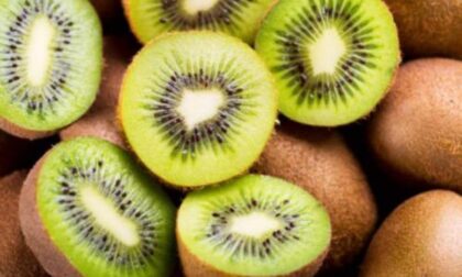 Rivoira: prezzi alti per il kiwi ma pesano tante incognite