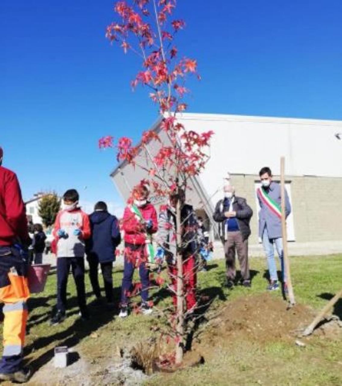 Torre San Giorgio cura gli alberi: bollettino green