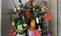 Adotta un albero Ecco i vincitori