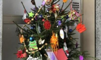 Adotta un albero Ecco i vincitori