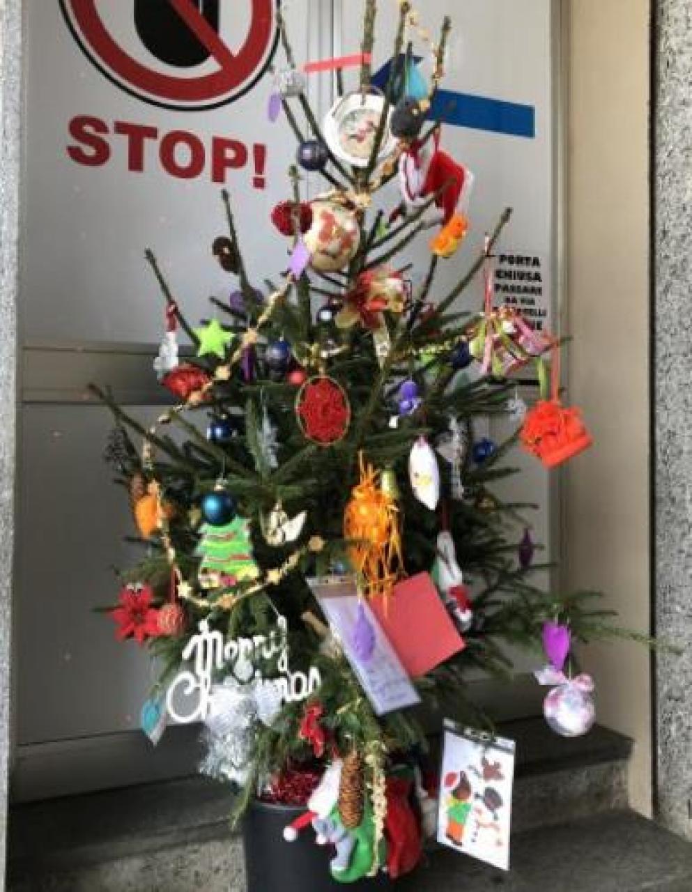 Adotta un albero Ecco i vincitori