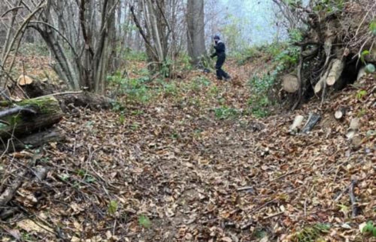 Aib al lavoro sulla collina di Castellar Rinasce il sentiero delle 3 chiesette Zzzzz zzzzzz