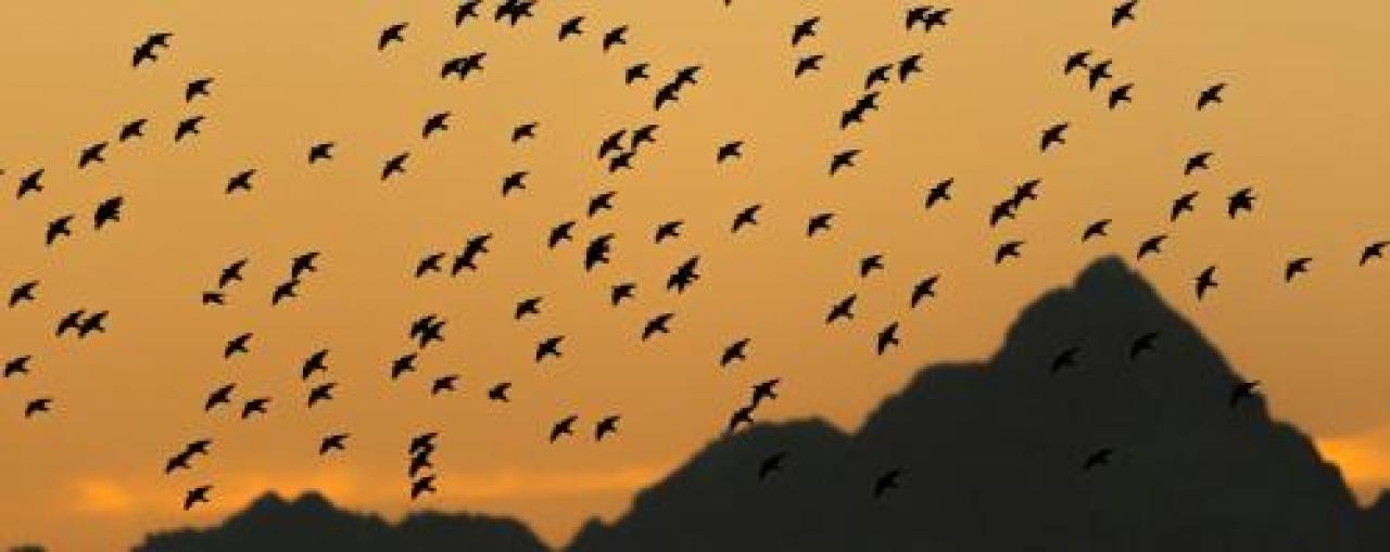 Quel tramonto sul monviso che profuma di poesia