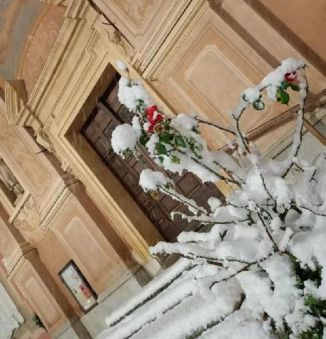 Vivi Busca porta Babbo Natale in video-diretta dentro le case