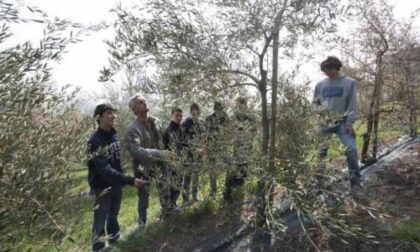 All’istituto agrario si formano i tecnici dell’economia green