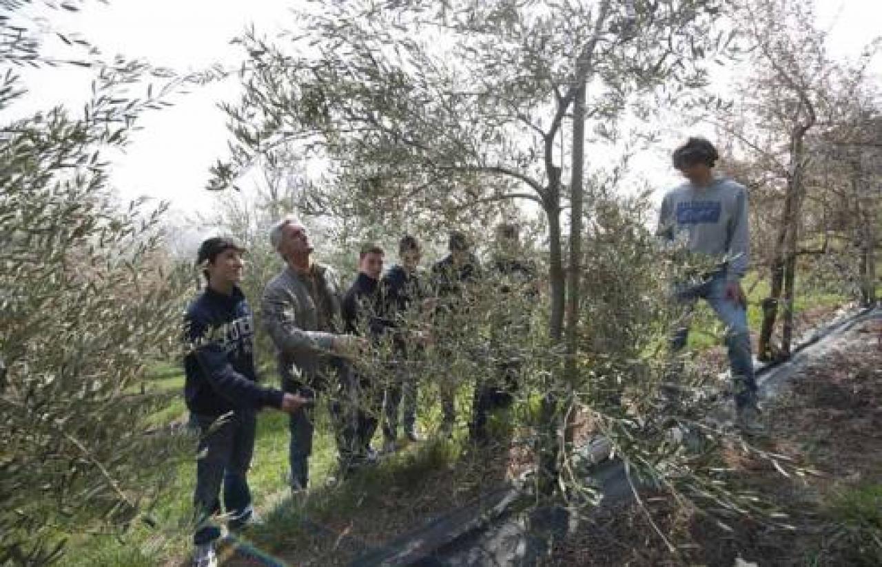 All’istituto agrario si formano i tecnici dell’economia green