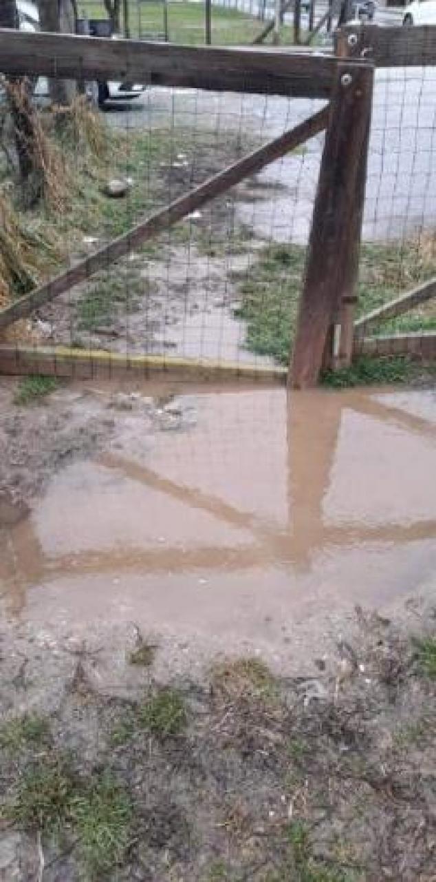 Area cani: accesso allagato