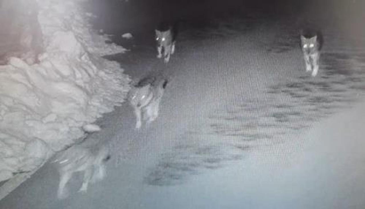 GLI INFRAROSSI IMMORTALANO OTTO LUPI