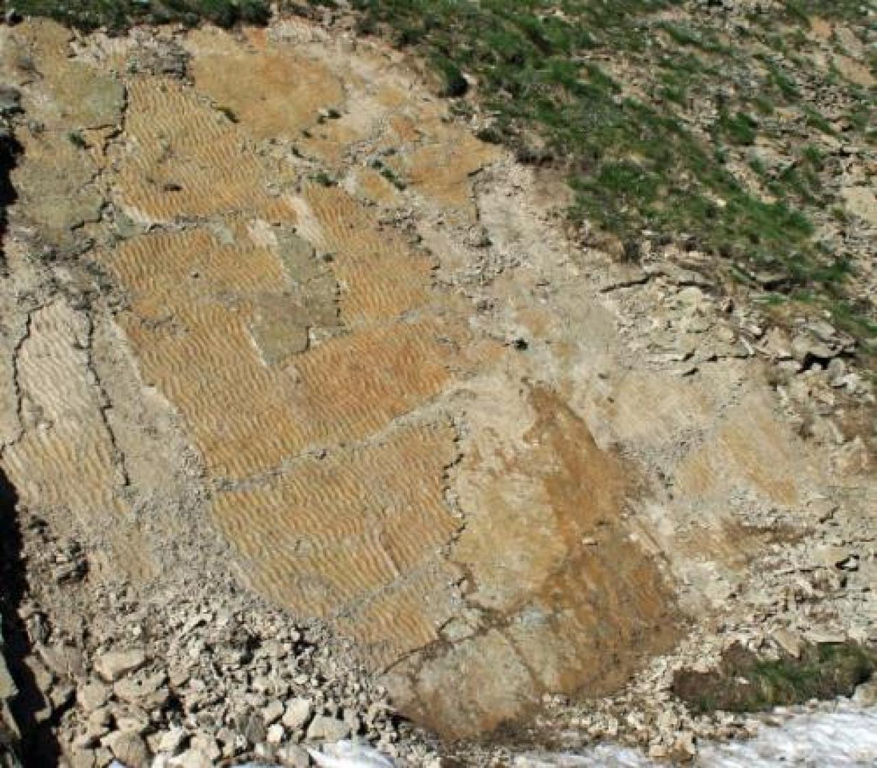 Ora si può realizzare il parco paleontologico della valle