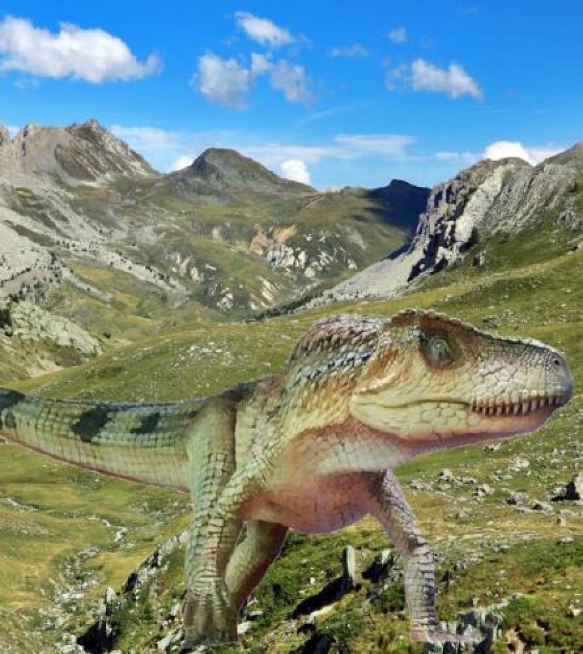 Ricostruito in 3D il rettile giurassico della Gardetta