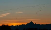 250 gru trasformano in cartolina il tramonto sul viso