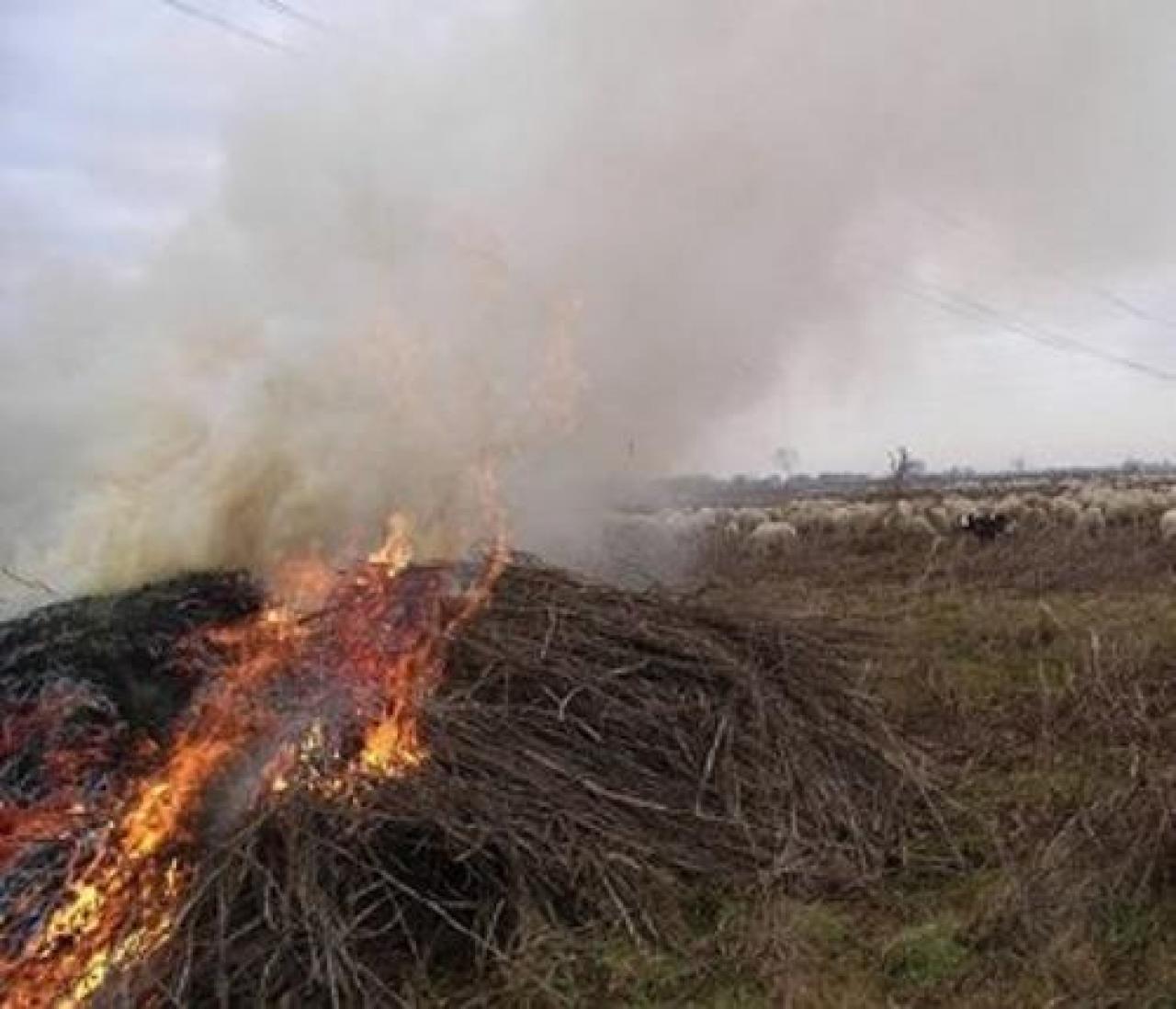Abbruciamenti in deroga MORETTA