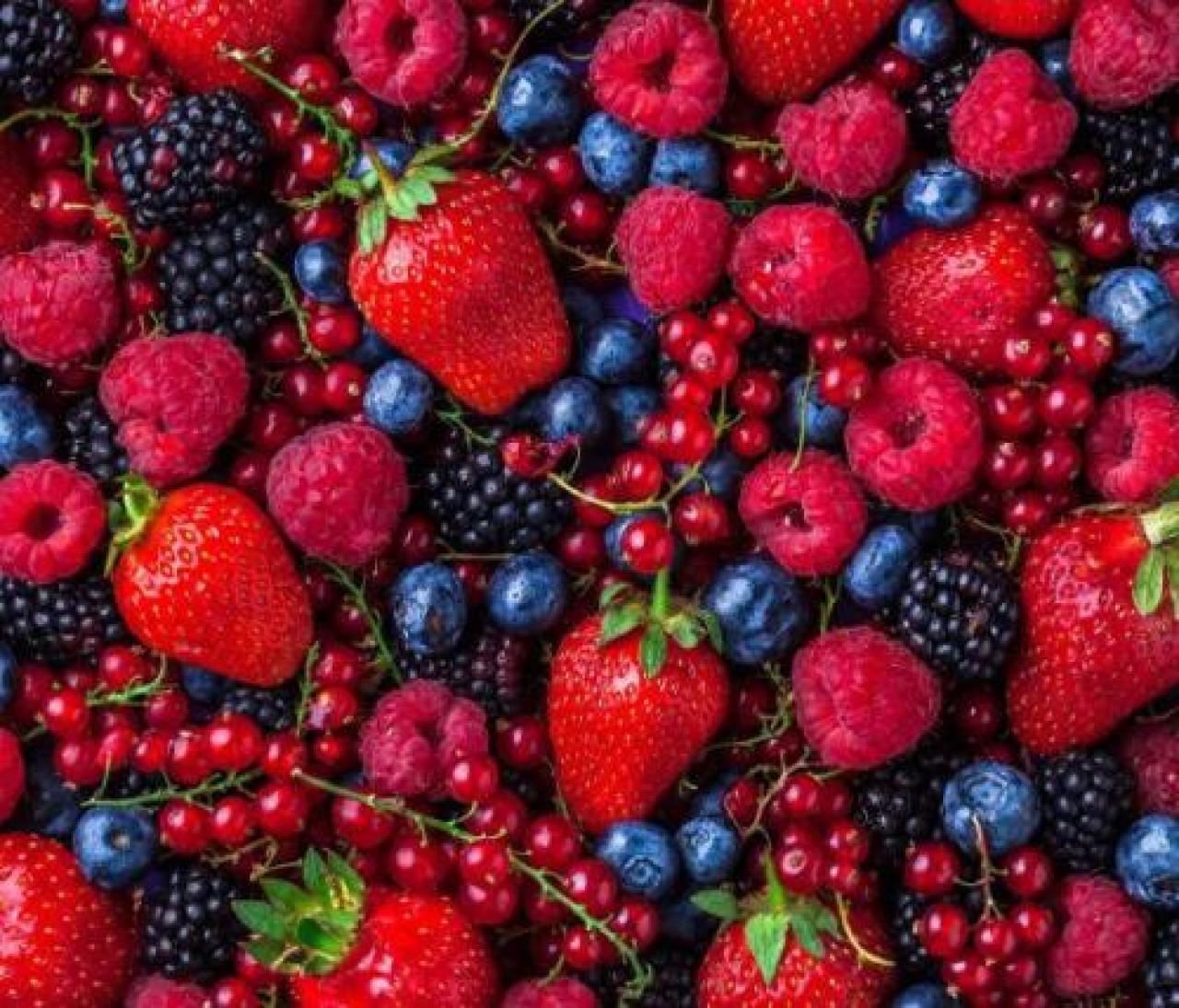 Fondazione Agrion, i risultati del monitoraggio sull’andamento dei piccoli frutti Senza soste la crescita del mirtillo E nel cuneese la fragola resta regina