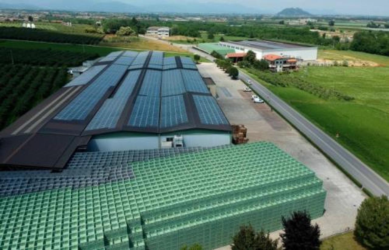 Frutta del Monviso, voce alle aziende Parlano Abbate Daga, Solfrutta e Sepo