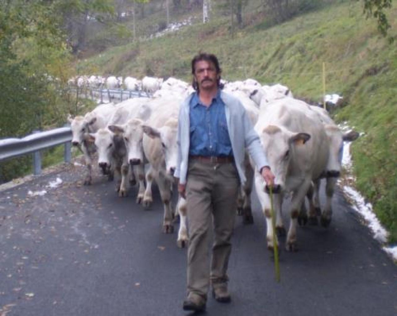 Lettera aperta di dalmasso (adialpi) «Il lupo va tenuto sotto controllo o scompariranno pastori e malgari»