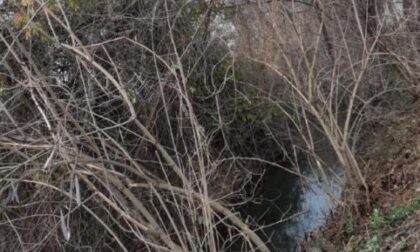 MESSA IN SICUREZZA DEI 3 CHILOMETRI E MEZZO DEL CORSO D’ACQUA Oltre un metro e mezzo di fango nell’alveo Intervento di pulizia nella bealera di Faule