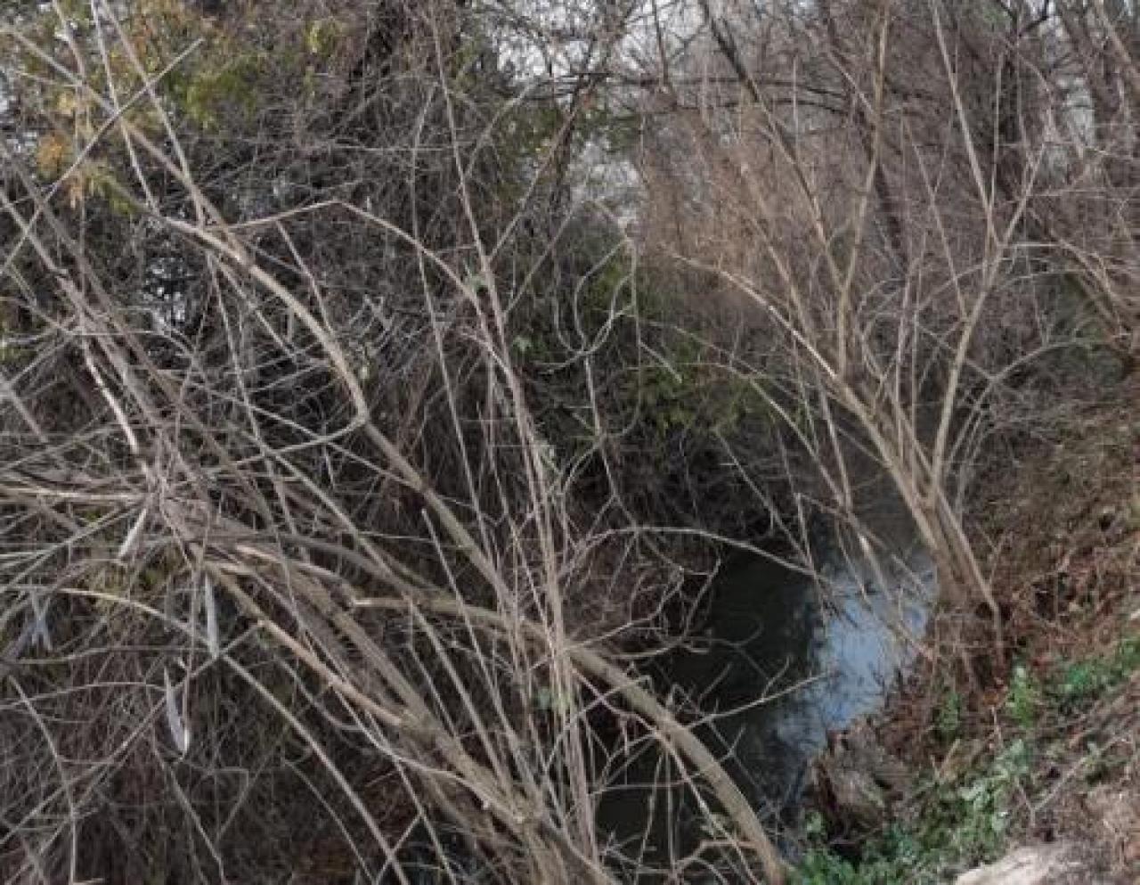 MESSA IN SICUREZZA DEI 3 CHILOMETRI E MEZZO DEL CORSO D’ACQUA Oltre un metro e mezzo di fango nell’alveo Intervento di pulizia nella bealera di Faule