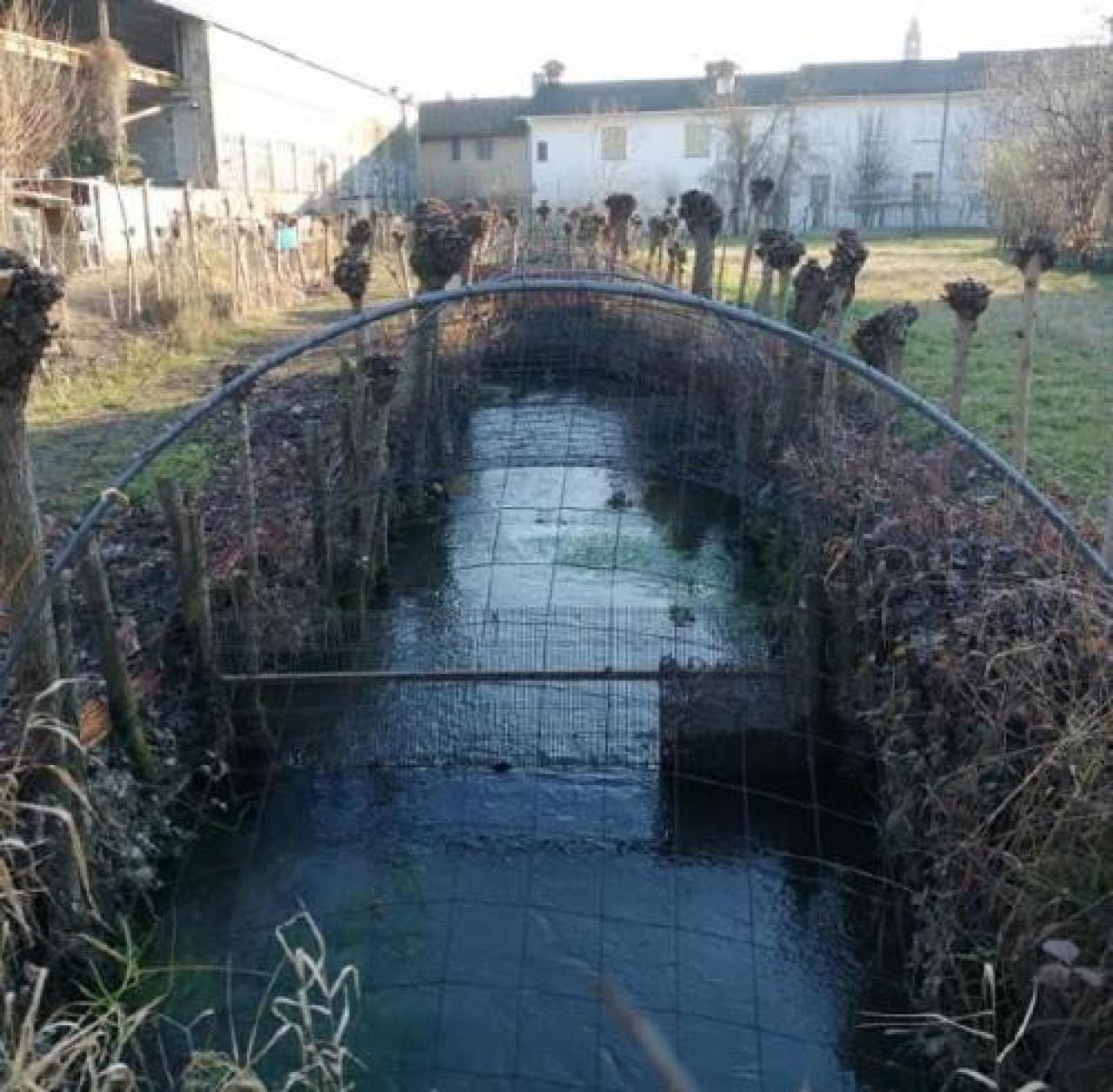 Pescatori, su le canne: si torna in acqua
