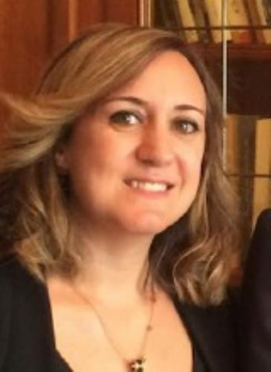 I professionisti sono il motore