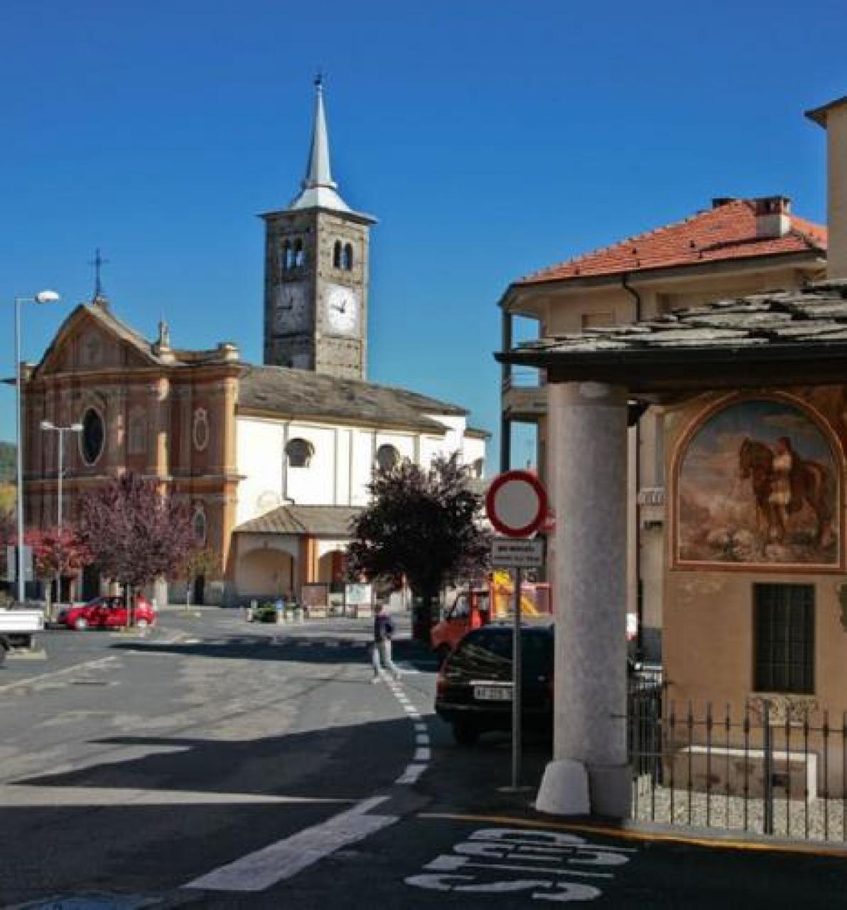 Ramoscelli d’ulivo, come e dove
